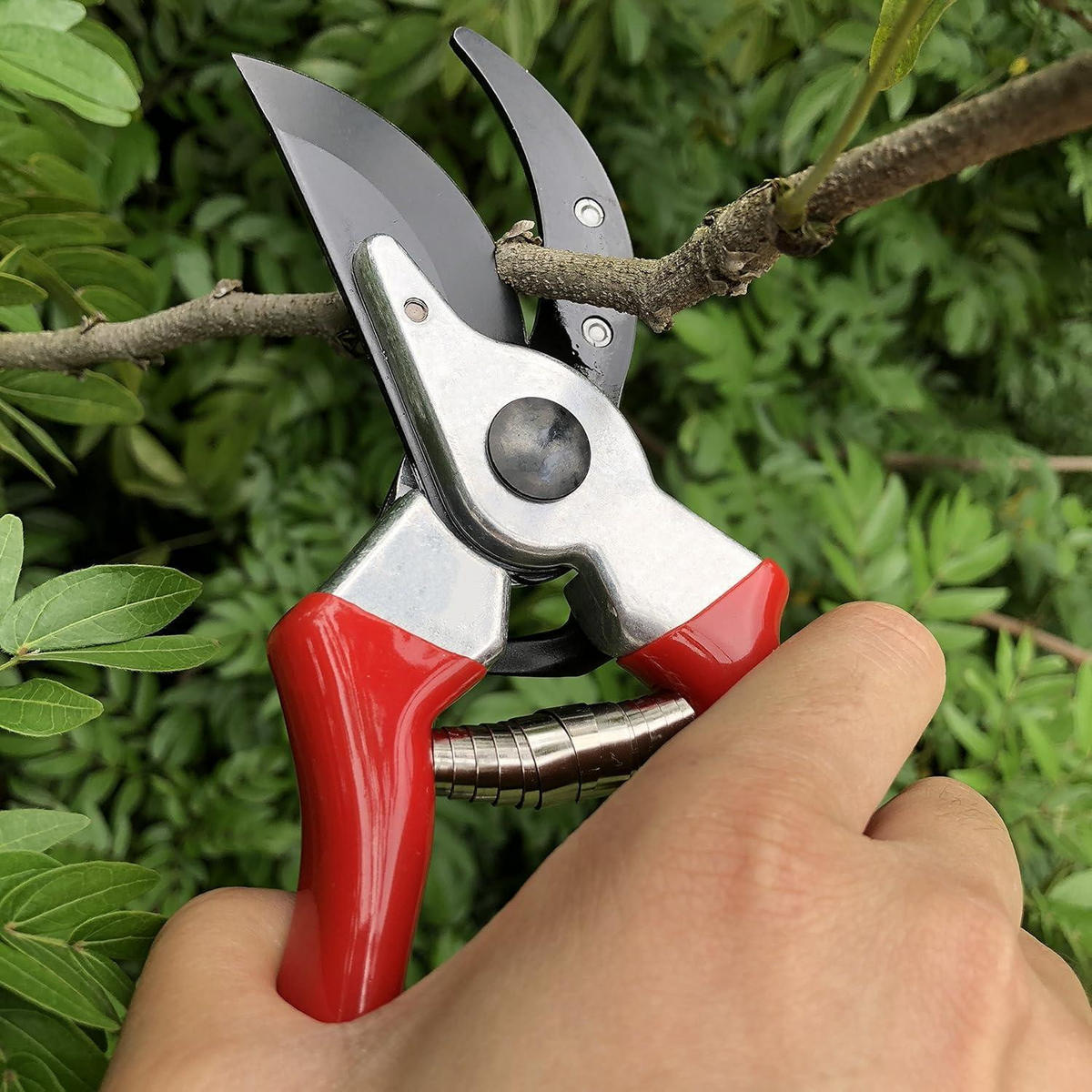 GARTENSCHERE Bypass SK5 Stahl Teflon Rot - Rot, Metall (3.3/8.9/26.9cm)