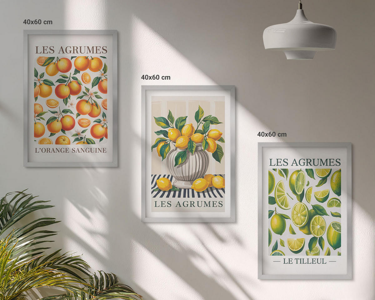 WANDBILDER 3er Set - 40x60 cm Silberner Rahmen - Zitrusfrüchte in farbenfrohen Varianten - Silberfarben, Kunststoff (40/60cm) - ArtPrintCave