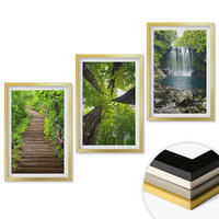 WANDBILDER 3er Set - 40x60 cm Goldrahmen - Pfad Wald Wasserfall Vegetation - Goldfarben, Kunststoff (40/60cm) - ArtPrintCave