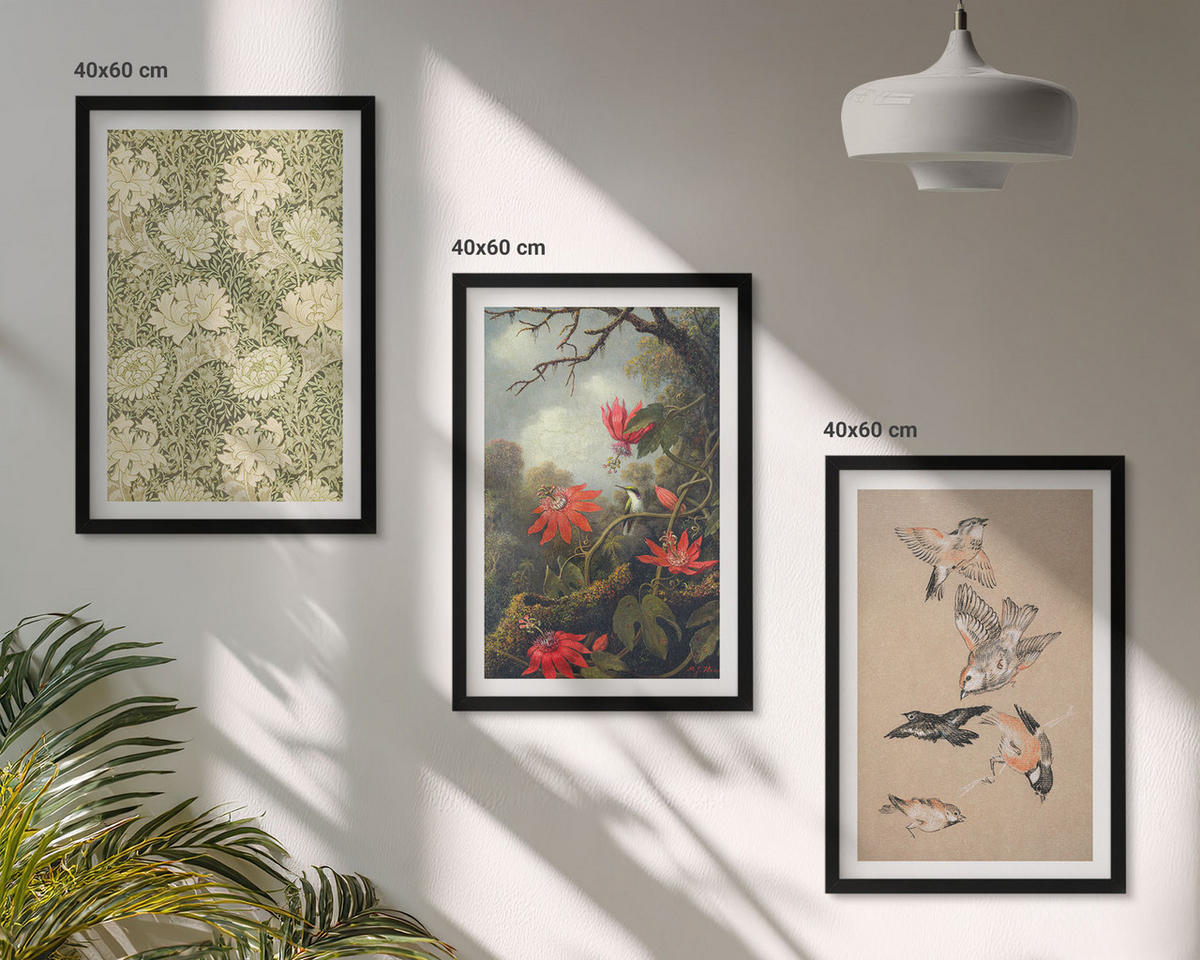 BILDER SET 3er Set - 40x60 cm Schwarzer Rahmen - Blumen, Vögel, Natur - Schwarz, Kunststoff (40/60cm) - TULUP