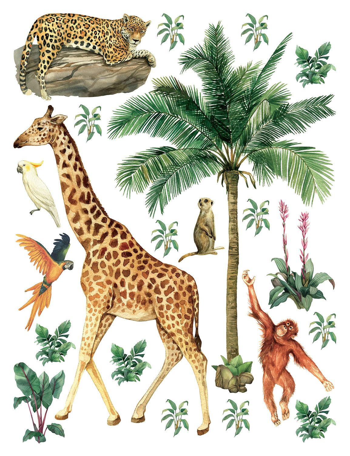 WANDTATTOO Dschungeltiere 85 x 65 cm - Multicolor, Papier (85/65/65cm) - Sanders & Sanders