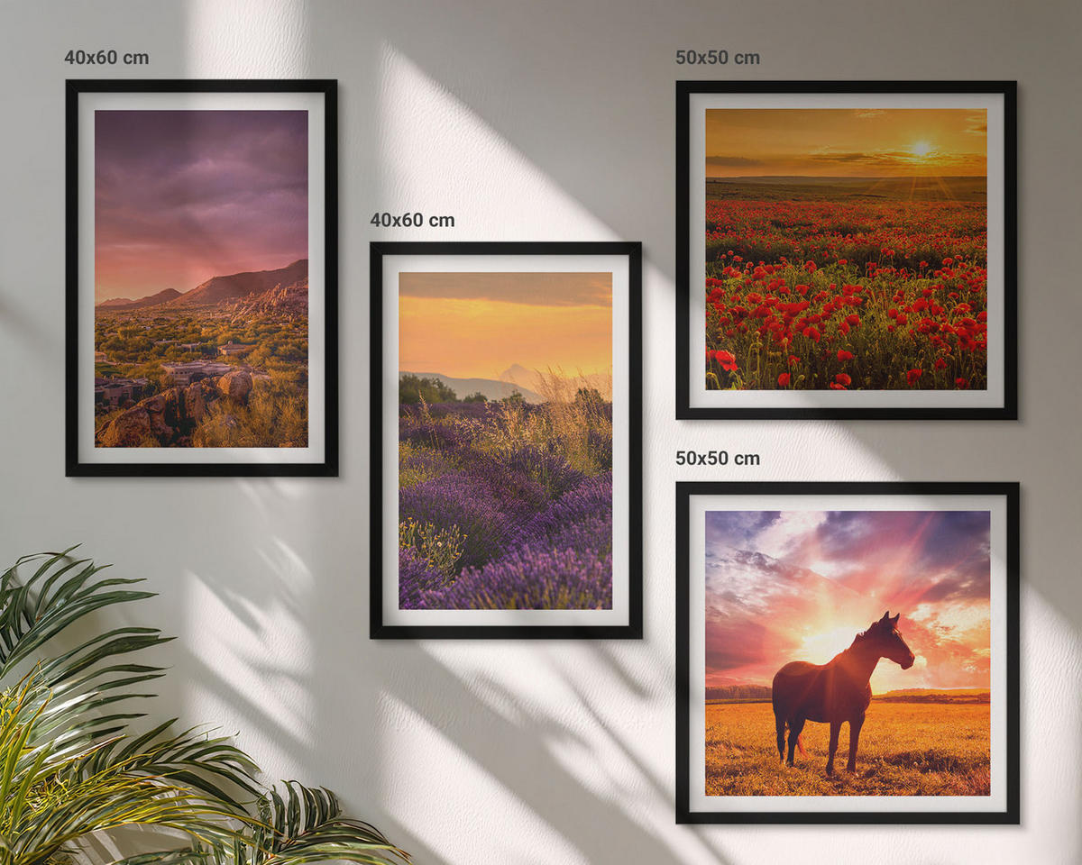 BILDER SET 4er Set - 50x50 cm & 40x60 cm Schwarzer Rahmen - Berglandschaft Rosslavendel - Schwarz, Kunststoff (50/50cm) - TULUP