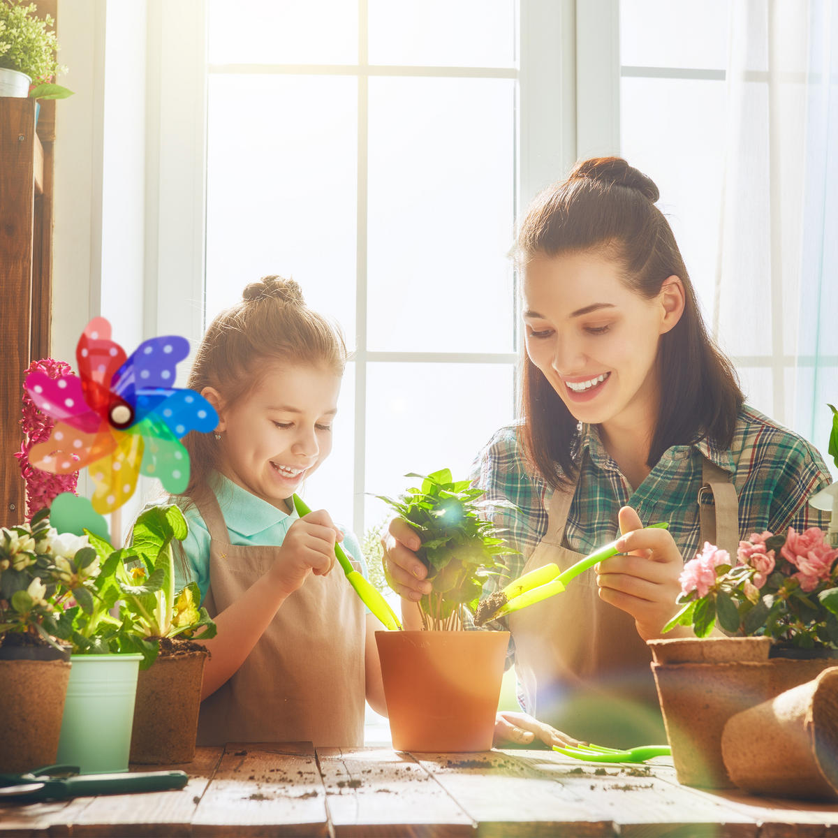 WINDRAD - Multicolor, Holz/Kunststoff (18/38.5/9cm) - Relaxdays