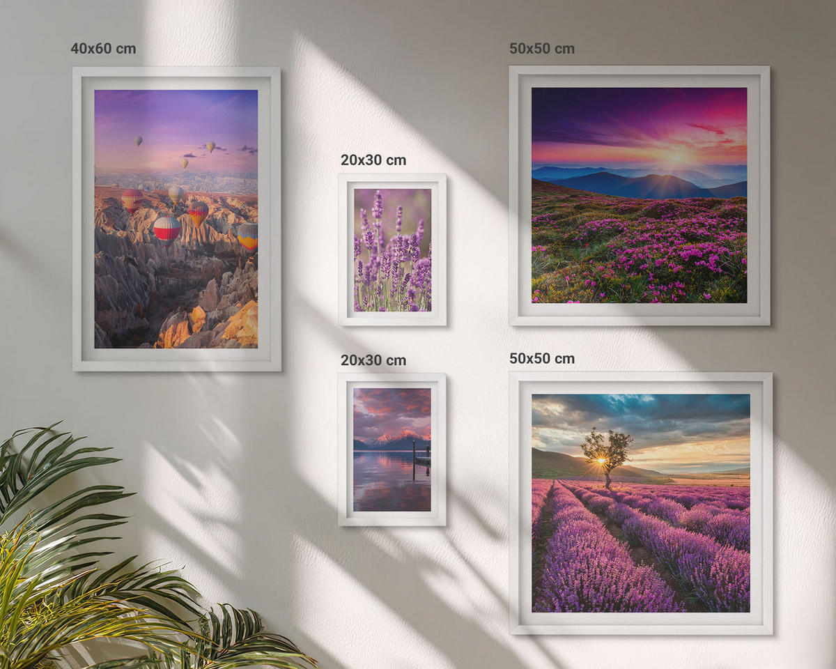BILDER SET 5er Set - 50x50 cm & 20x30 cm & 40x60 cm Weißer Rahmen - Sonnenuntergang auf Lavendelfeldern - Weiß, Kunststoff (40/60cm) - TULUP