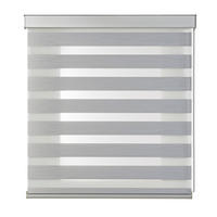 DOPPELROLLO Weiß 120x250 cm - Silberfarben, Kunststoff (120/250cm) - STORESDECO