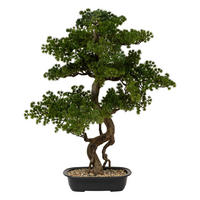 BONSAI-BAUM schwarze Keramikschale Polin 72/36/86 cm - Multicolor, Keramik (86cm) - Atmosphera Createur d´interieur