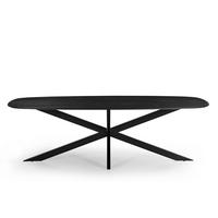 ESSTISCH oval aus Mangoholz 240cm, schwarz - Schwarz, Metall (240/100/76cm) - Giga Meubel