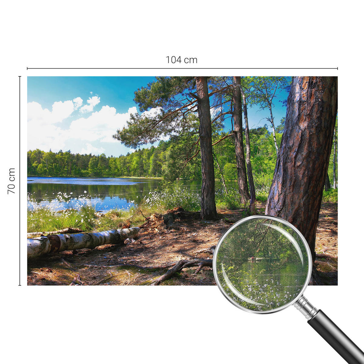 FOTOTAPETE 104x70 cm - Waldlandschaft - Grün, Textil (104/70cm) - Wallfluent