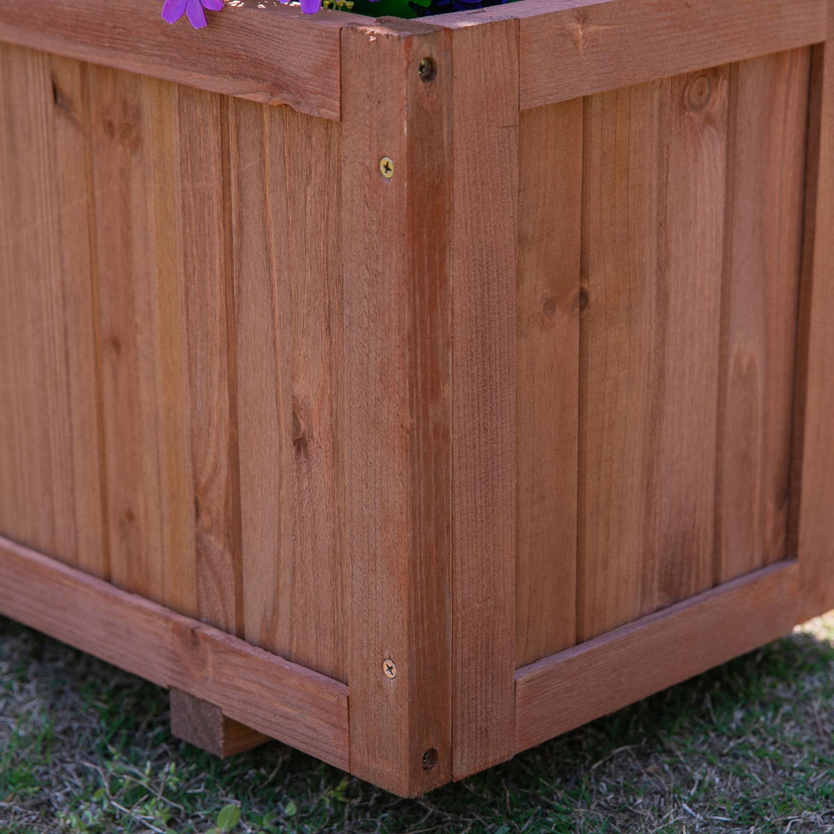 HOCHBEET Pflanzkasten mit Rankgitter Natur - Orange, Holz (31.5/31.5/72.5cm) - ComfortXL