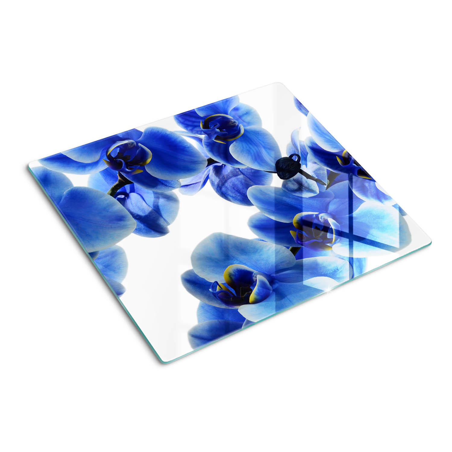 GLASPLATTE 60x52 cm Blaue Orchidee - Blau, Glas (60/0.4/52cm) - TULUP