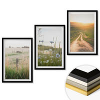 WANDBILDER 3er-Set - 40x60 cm Schwarzer Rahmen - Landschaften Natur Felder Weg - Schwarz, Kunststoff (40/60cm) - ArtPrintCave