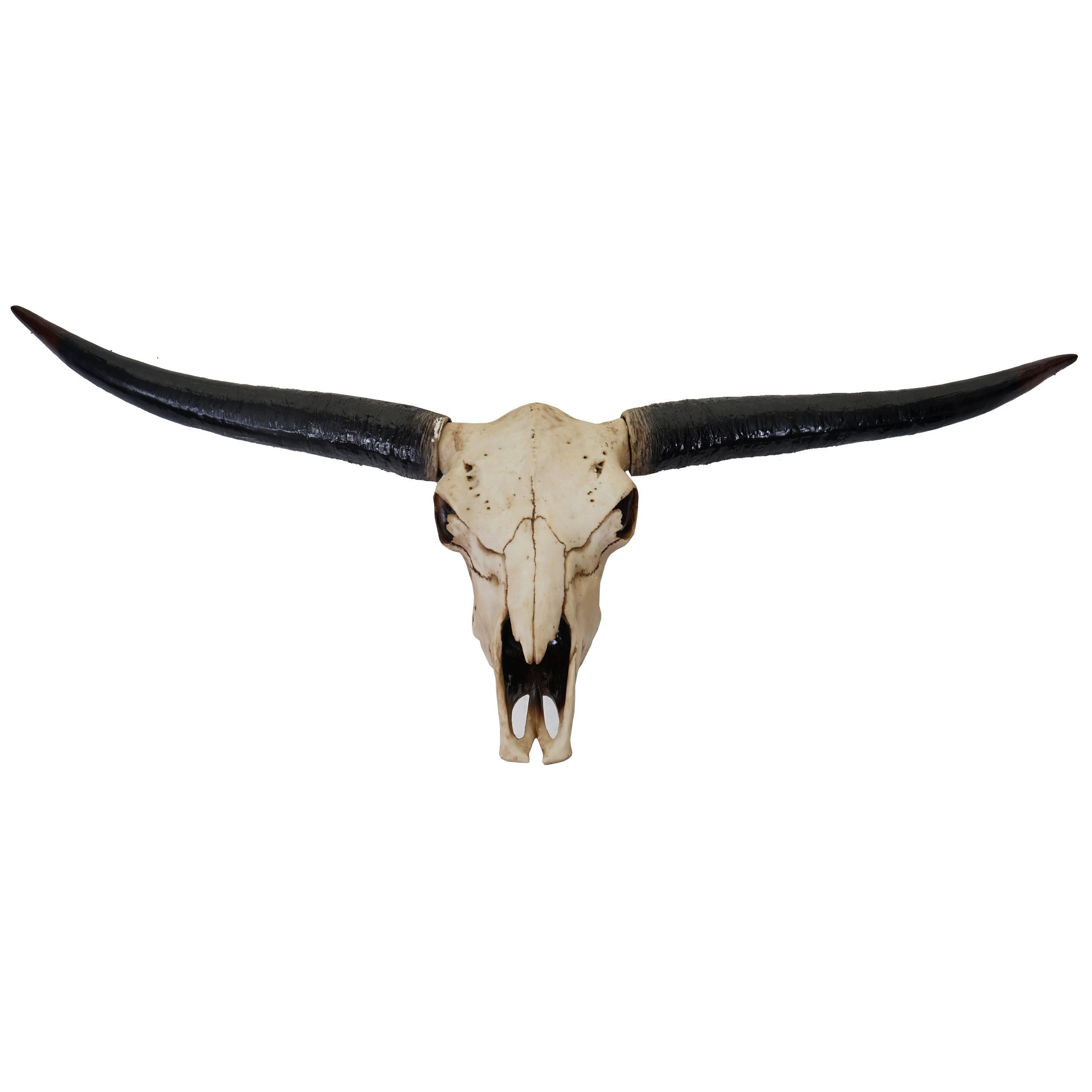 DEKO SCHÄDEL STIER Beige, Schwarz - Beige/Schwarz, Stein (132/56/15cm) - MCW
