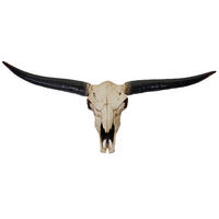 DEKO SCHÄDEL STIER Beige, Schwarz - Beige/Schwarz, Stein (132/56/15cm) - MCW