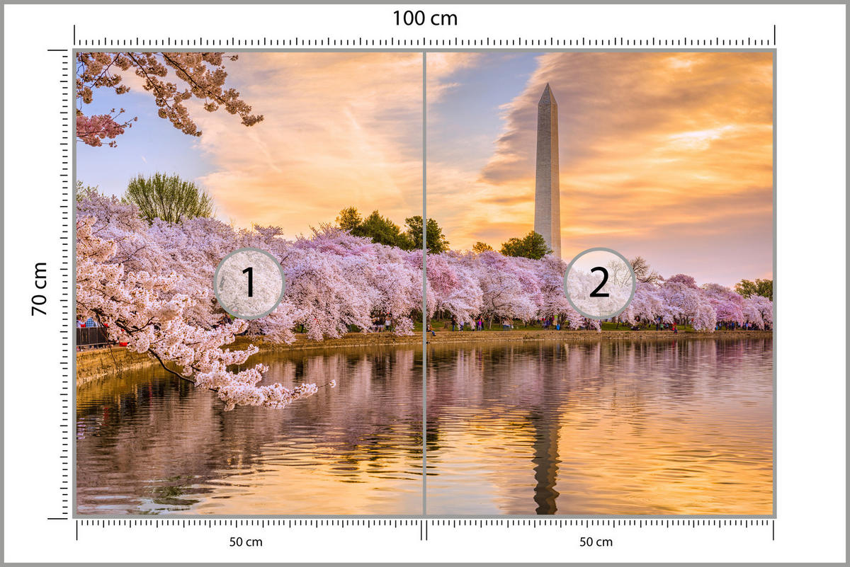 FOTOTAPETE Blühende Kirschbäume Fluss Natur Frühling Sonnenuntergang 100x70 - Blau/Gelb, Papier (100/70cm) - Muralo