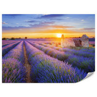 FOTOTAPETA Pre Obývaciu Izbu Levanduľové Pole Západ Slnka Fialová 250 x 175 cm - oranžová/zelená, papier (250/175cm) - Muralo