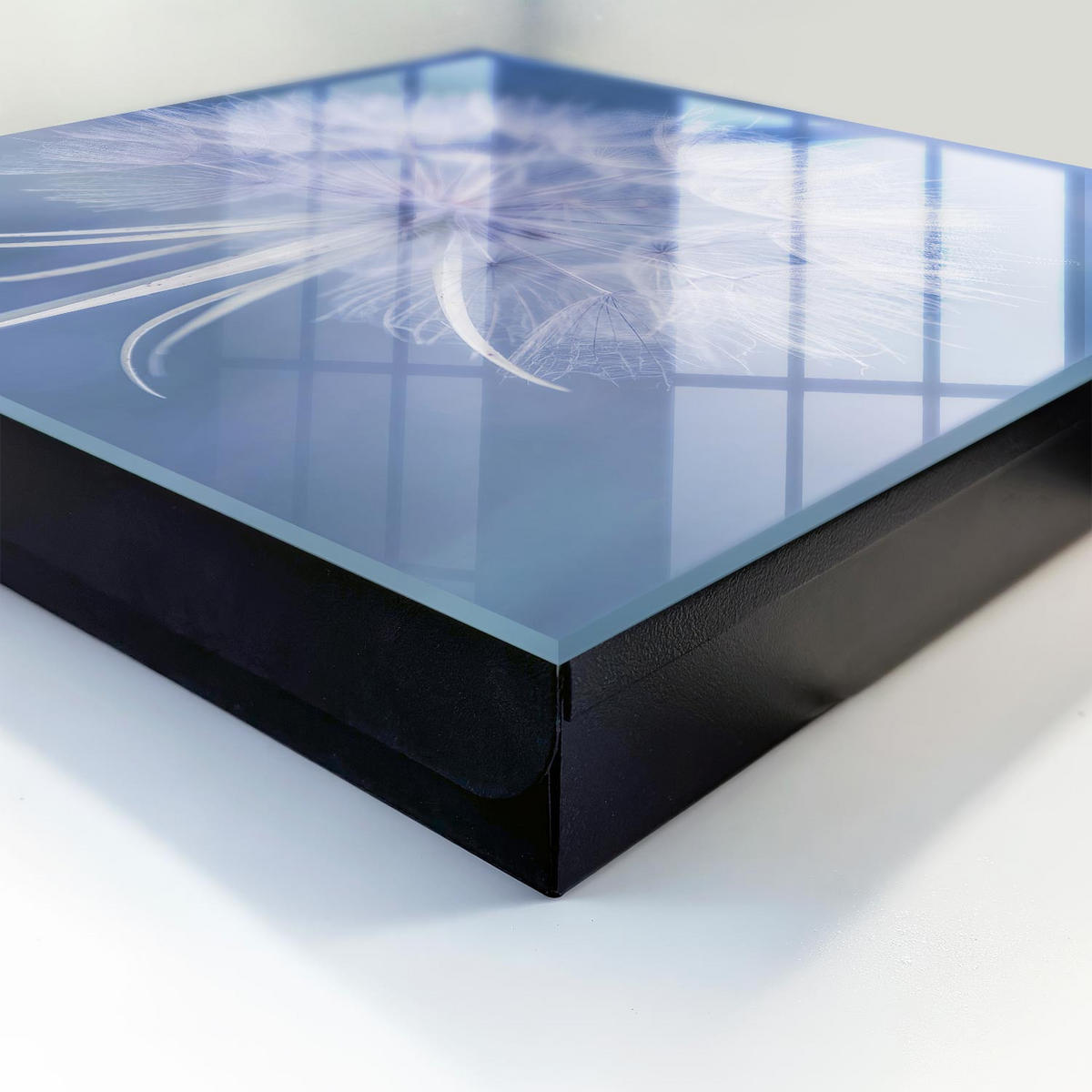 SCHLÜSSELBOX Schwarz 30x30 cm- Türöffnung nach rechts - Zarter Löwenzahn - Blau, Metall (30/30/5cm) - TULUP