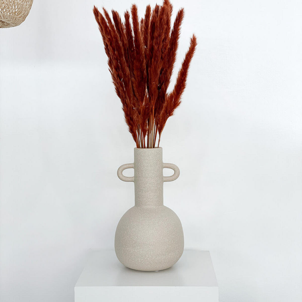 PAMPASGRAS Mini - weiß / Bund / 65 cm - Weiß, Naturmaterialien (65cm) - Lykke & You