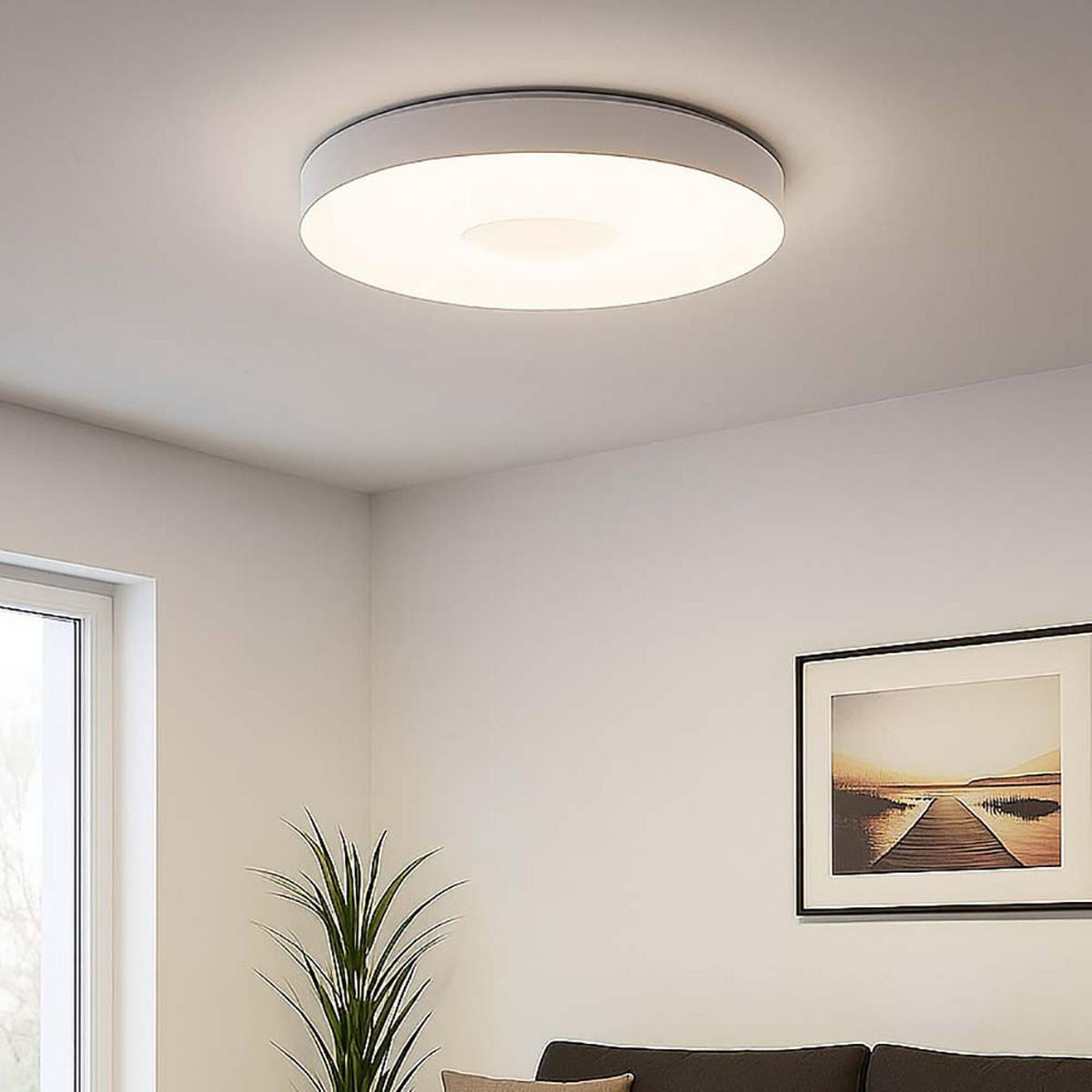 LED DECKENLEUCHTE Weiß Dimmbar Fernbedienung - Weiß, Metall (49.5/49.5/8.5cm)