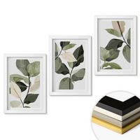 WANDBILDER 3er-Set - 20x30 cm Weißer Rahmen - Bemalte Boho-Pflanzenblätter - Weiß, Kunststoff (20/30cm) - ArtPrintCave
