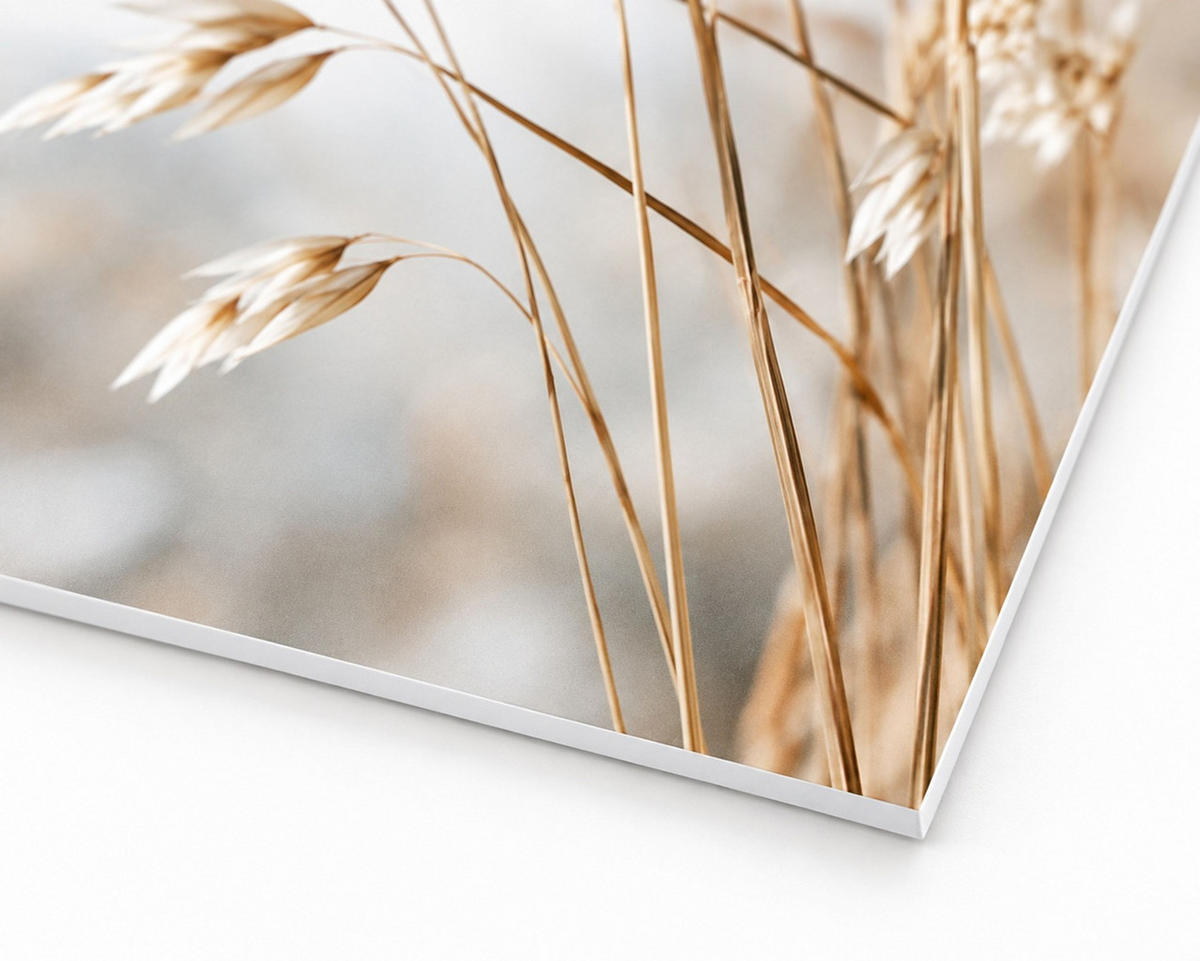 BILDERSET 3er-Set 40x60 cm Gräser beige weiß - Beige, Kunststoff (40/60cm) - artissimo