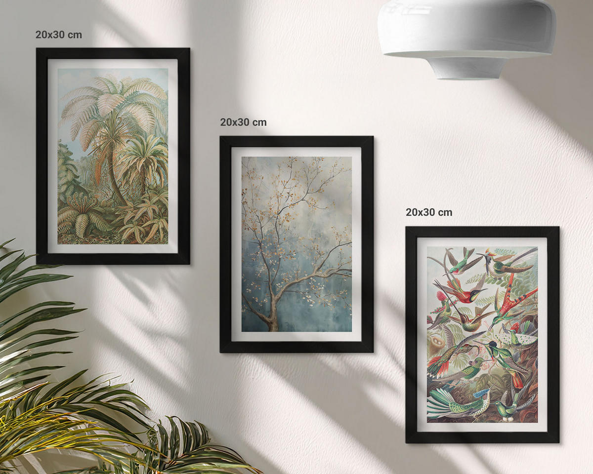 WANDBILDER 3er-Set - 20x30 cm Schwarzer Rahmen - Tropische Pflanzen, Vögel, Natur - Schwarz, Kunststoff (20/30cm) - ArtPrintCave