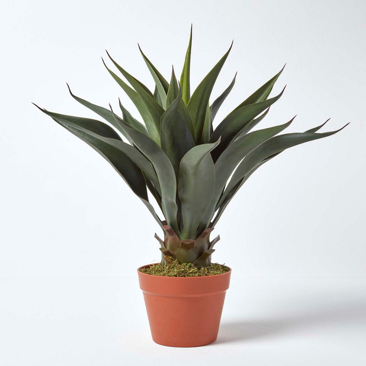 KUNSTPFLANZE Agave, 60 cm - Grün, Kunststoff (60cm) - Homescapes
