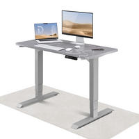 SCHREIBTISCH Elektrisch Höhenverstellbarer HomePro 120x60cm Grau/Grau mit Memory-Funktion, Anti-Kollisions Technologie - Grau, Holzwerkstoff (60/120/62cm) - Desktronic