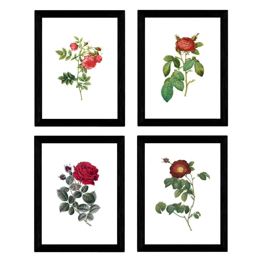 POSTER Set mit 4 Botanischen Stils Rosenkranz Weiß A3 Rahmenlos - Klar, Papier (29.7/3cm) - Nacnic
