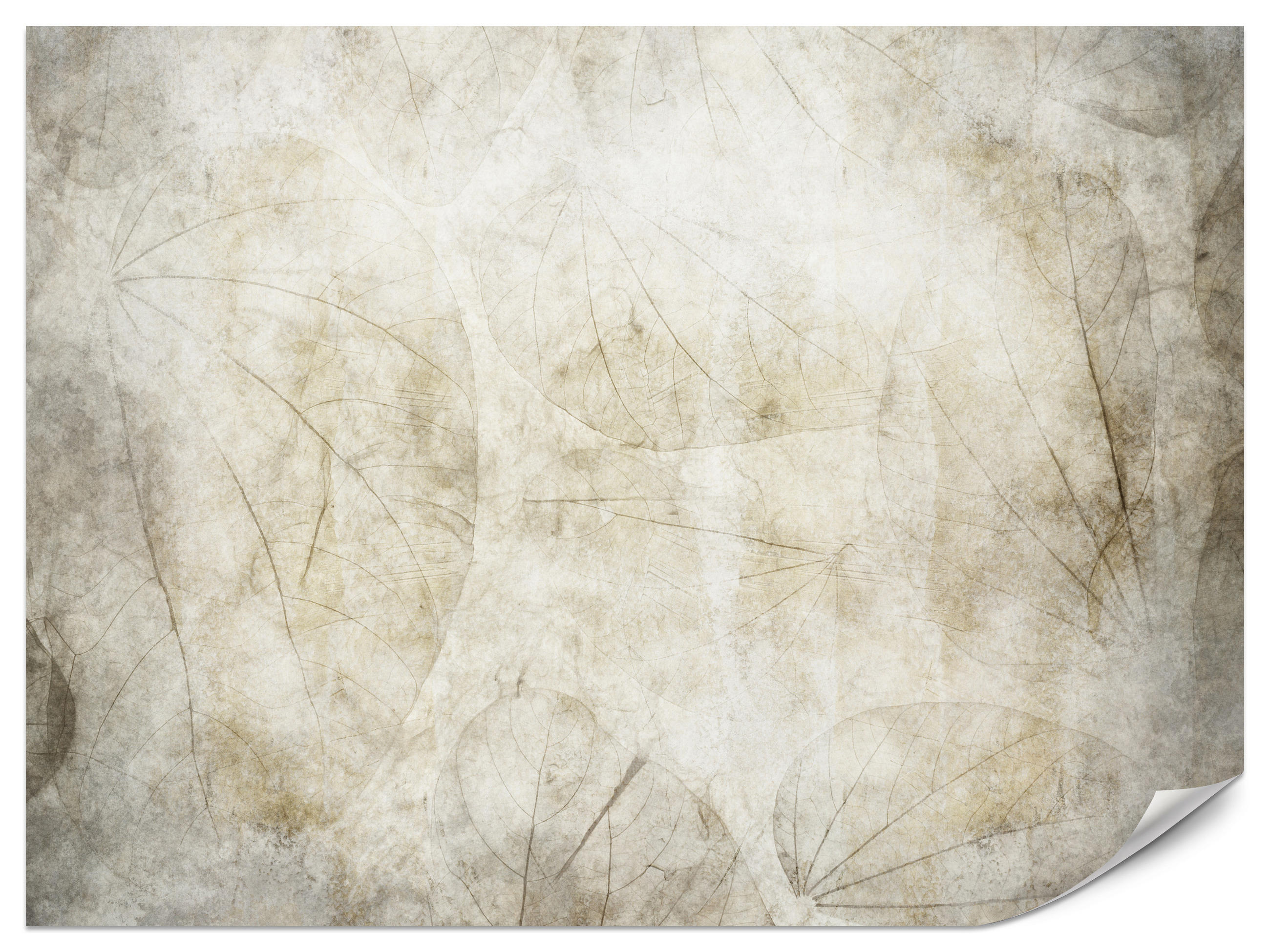 FOTOTAPETE für Badezimmer Blätter Beton Abstraktion Retro 450x315 - Beige/Grau, Papier (450/315cm) - Muralo