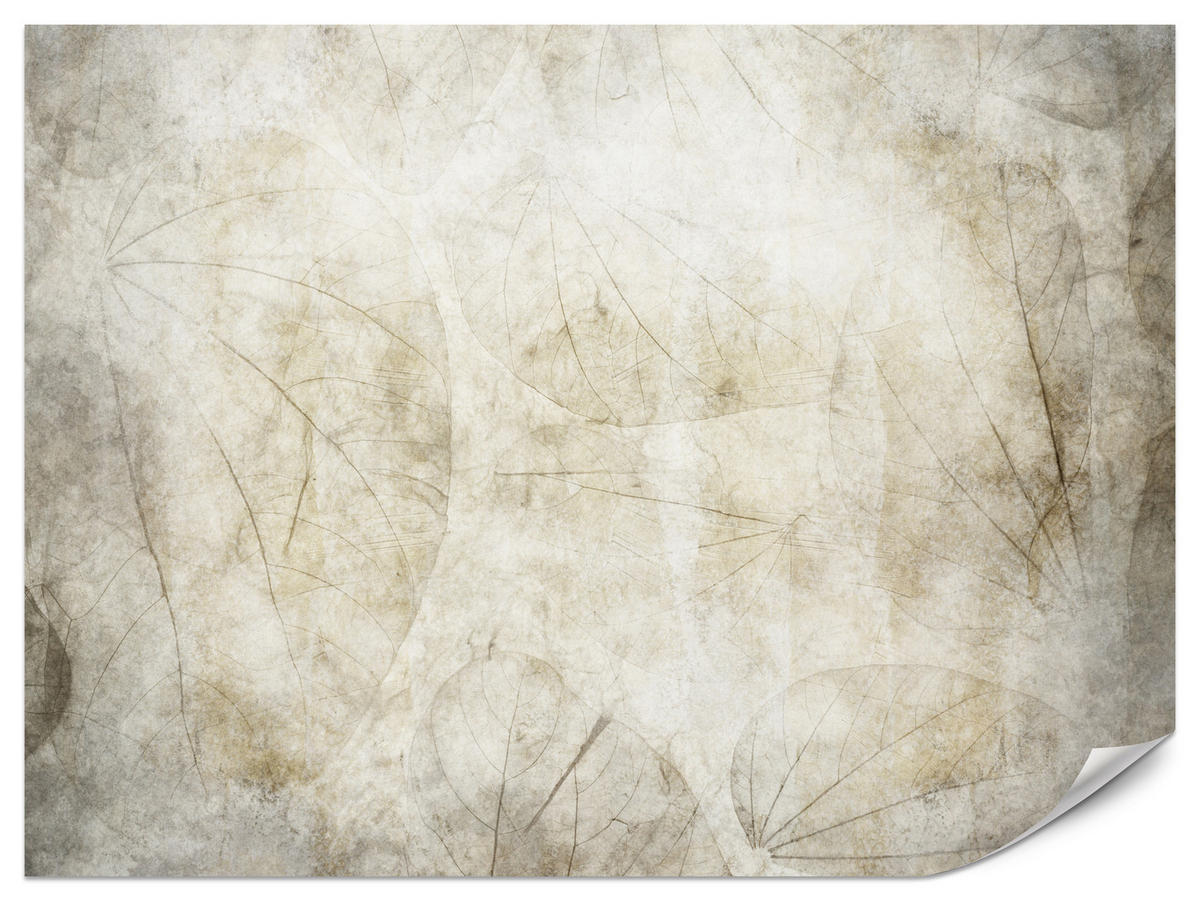 FOTOTAPETE für Badezimmer Blätter Beton Abstraktion Retro 450x315 - Beige/Grau, Papier (450/315cm) - Muralo