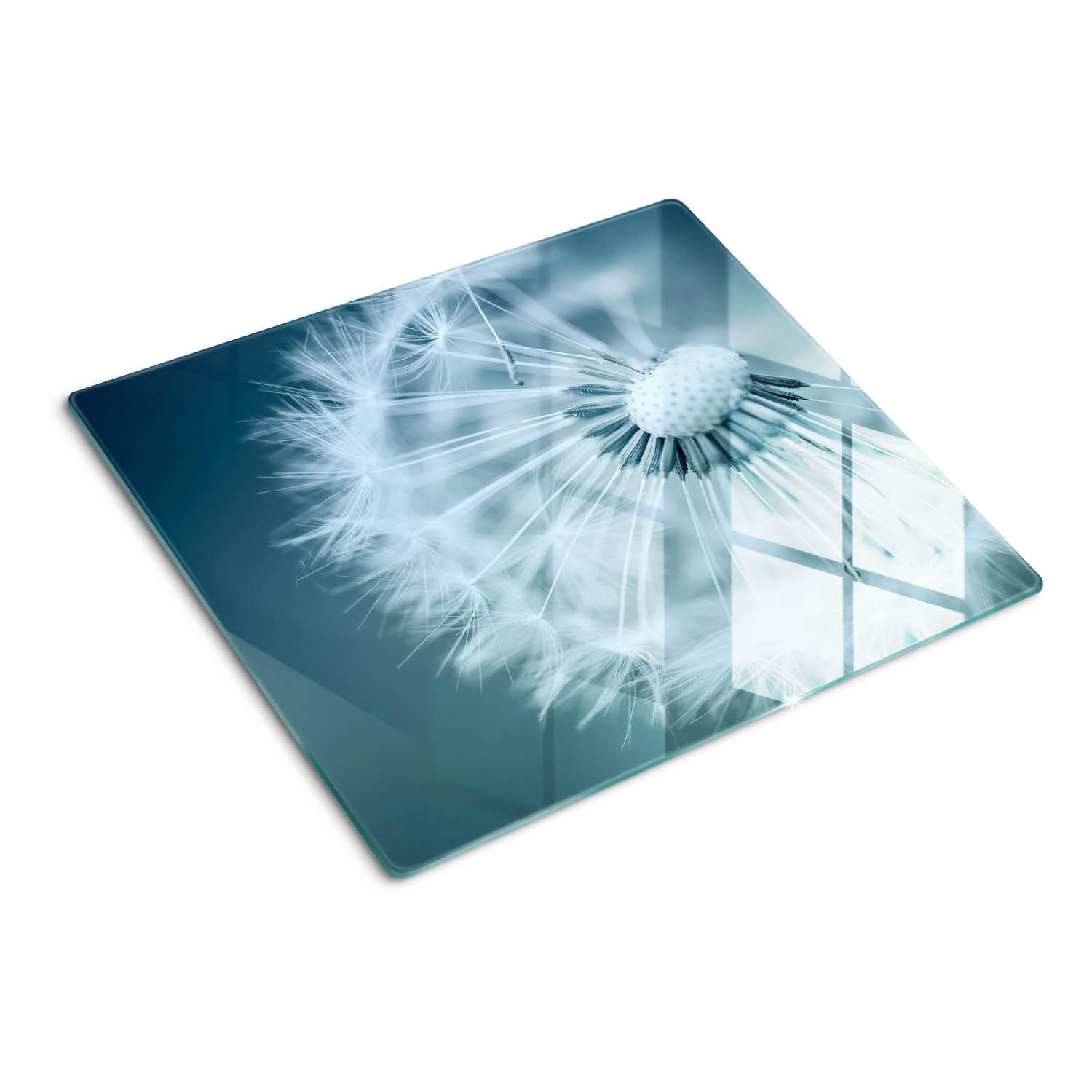 GLASPLATTE 60x52 cm Löwenzahn - Blau, Glas (60/0.4/52cm) - TULUP