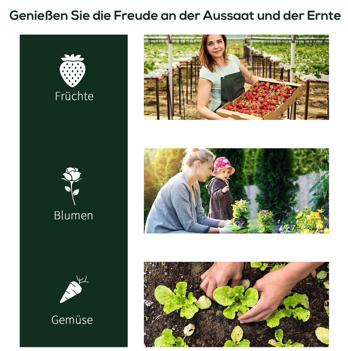 GEWÄCHSHAUS 200/80/100 cm Grün aus Kunststoff mit aufrollbarer Tür - Grün, Kunststoff (100/80/200cm) - OKMYHOME