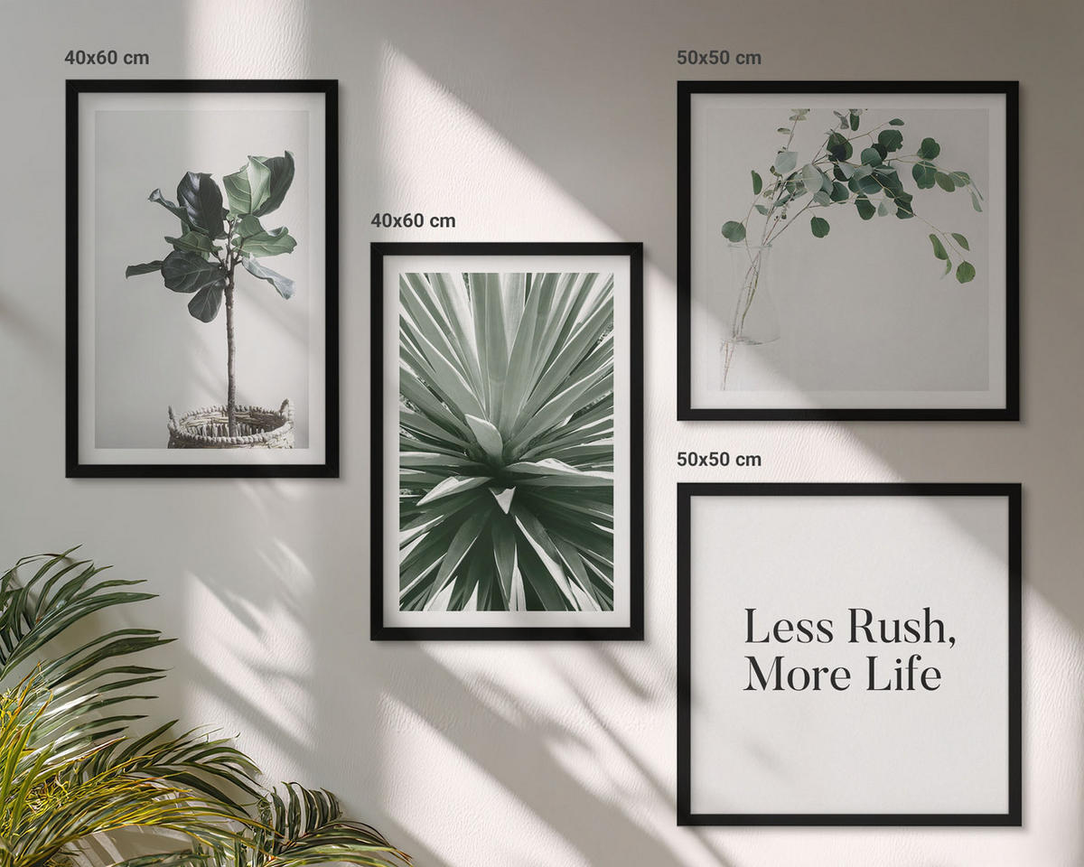 WANDBILDER 4er-Set - 50x50 cm & 40x60 cm Schwarzer Rahmen - Minimalismus mit grünen Pflanzen - Schwarz, Kunststoff (50/50cm) - ArtPrintCave