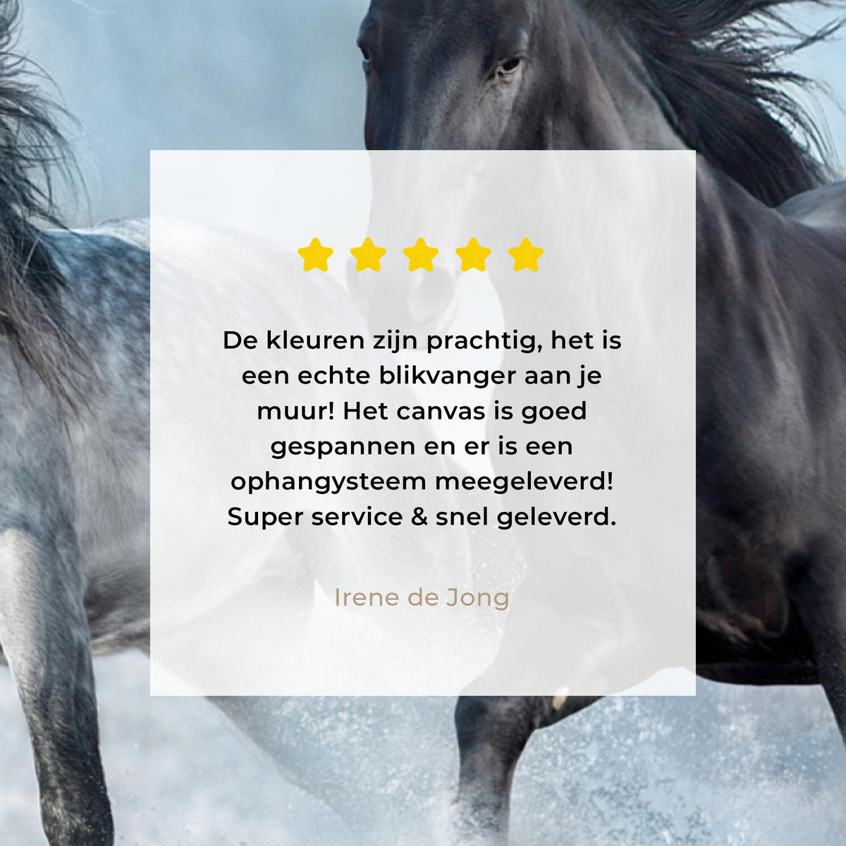 LEINWANDBILD Pferde - Winter - Tiere - Natur - Schnee Wandbild 40x30 cm - Anthrazit, Textil (40/30cm) - MuchoWow