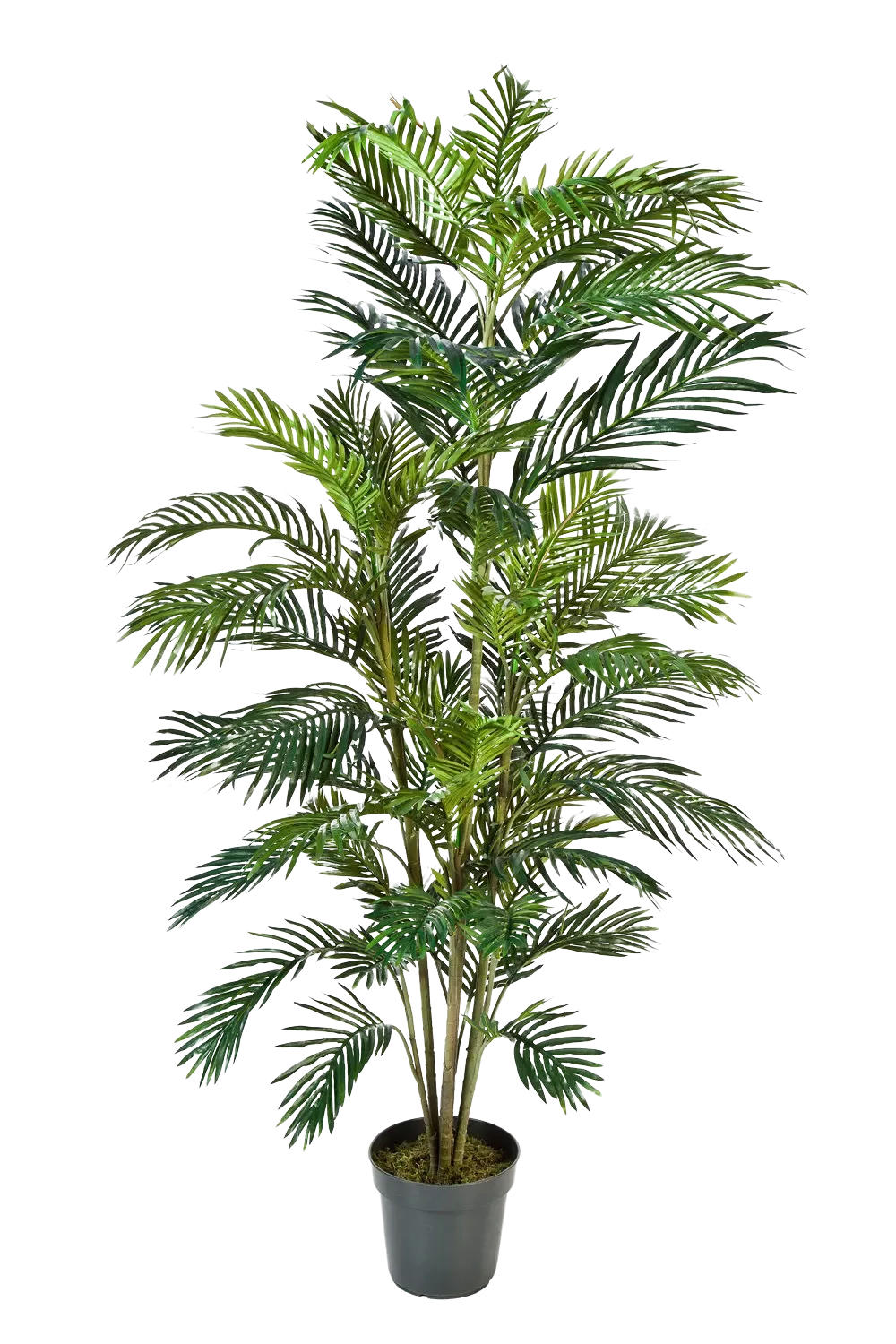 KUNSTBAUM Künstliche Goldfruchtpalme - Connor 180 cm - Grün, Kunststoff (180cm) - aplanta