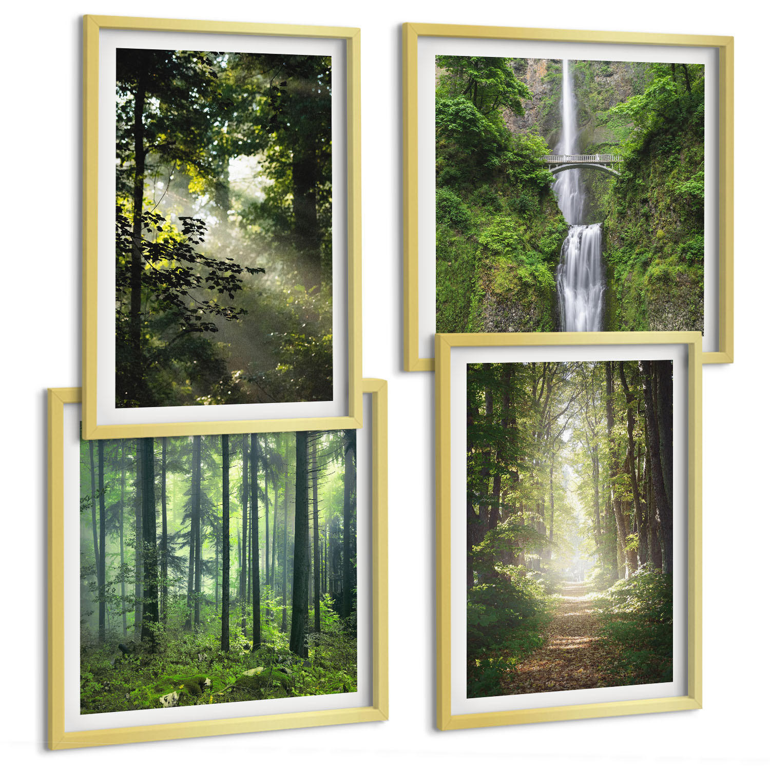 BILDER SET 4er Set - 50x50 cm & 40x60 cm Goldrahmen - Grüne Wälder, Lichtstrahlen - Goldfarben, Kunststoff (50/50cm) - TULUP