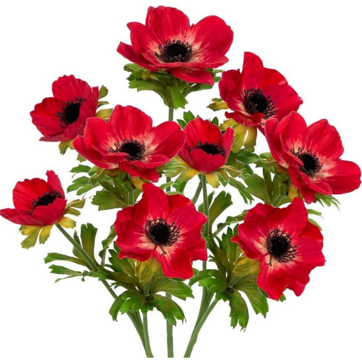 XXXLutz Kunstblumen Rot 55 cm