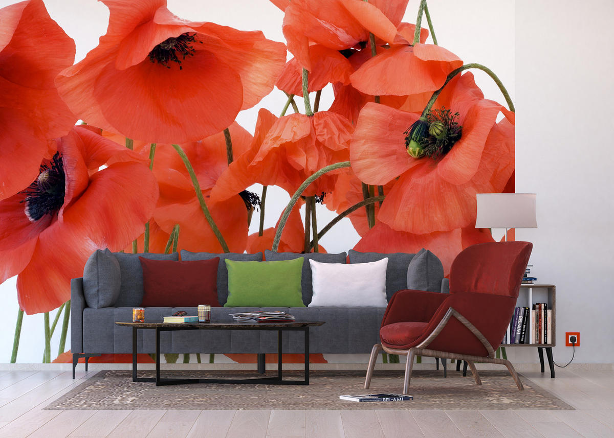 FOTOTAPETE Blumen 360 x 254 cm - Rot, Papier (360/254cm) - Sanders & Sanders