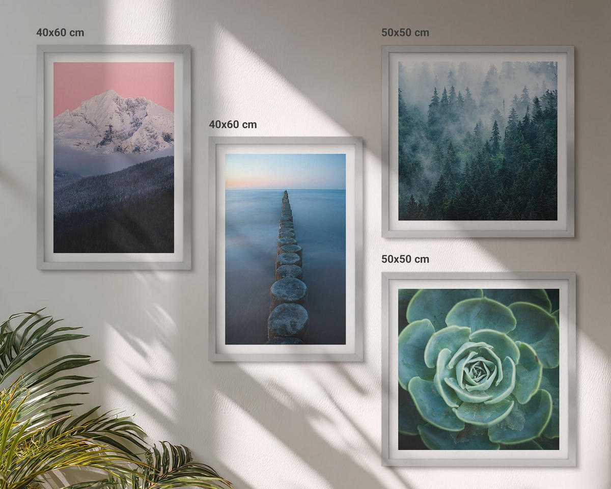 BILDER SET 4er Set - 50x50 cm & 40x60 cm Silberner Rahmen - Berge, rosa Himmel, Wasser, Sukkulente - Silberfarben, Kunststoff (50/50cm) - TULUP