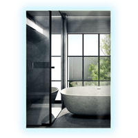 LED-SPIEGEL 70x50 cm Rechteckig Kaltweiß 6000K - Transparent, Glas (50/70/0.4cm) - Wallfluent