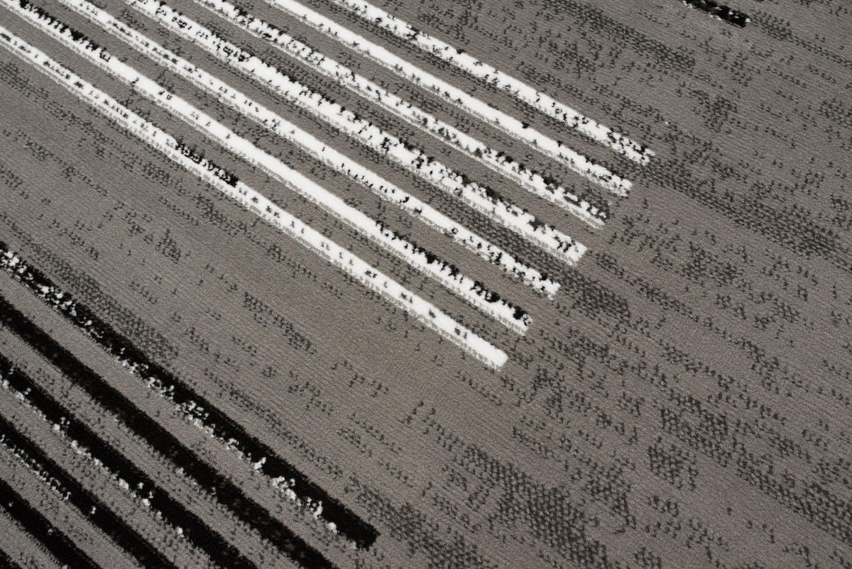 TEPPICH LUXURY Grau Geometrisch Streifen 140/200 cm - Grau, Textil (140/200cm) - Tapiso