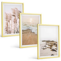 BILDER SET 3er Set - 40x60 cm Goldrahmen - Strandgras, Wellen, Steine, Boho-Stil - Goldfarben, Kunststoff (40/60cm) - TULUP