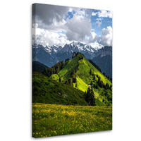 LEINWANDBILD Landschaft Blick Berge Wald Natur 80x120cm - Grün, Textil (80/120cm) - Feeby