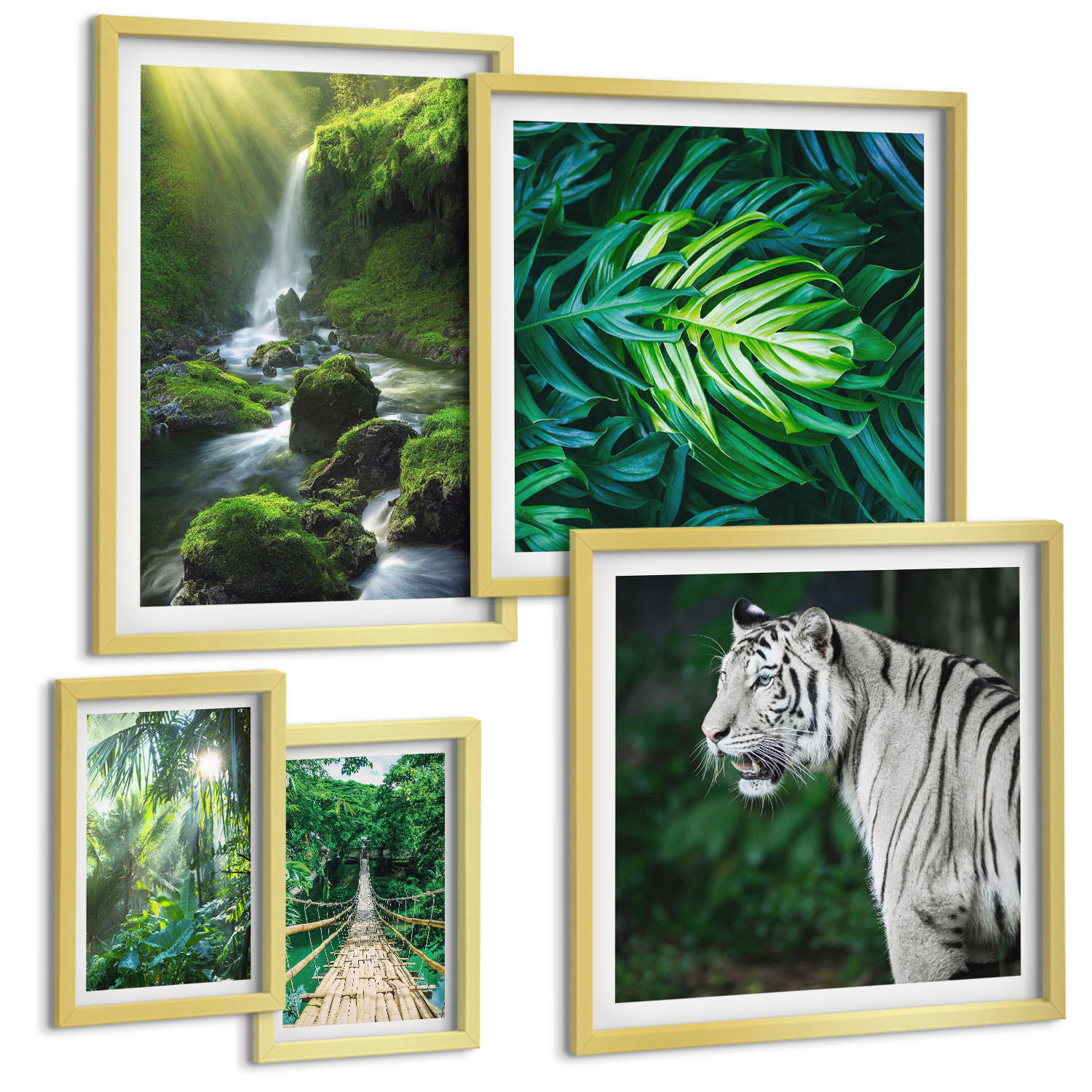 BILDER SET 5er Set - 50x50 cm & 20x30 cm & 40x60 cm Goldrahmen - Dschungel-Weißtiger-Wasserfall - Goldfarben, Kunststoff (40/60cm) - TULUP