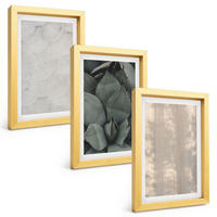 BILDER SET 3er Set - 20x30 cm Goldrahmen - Sommerliche tropische Texturen - Goldfarben, Kunststoff (20/30cm) - TULUP
