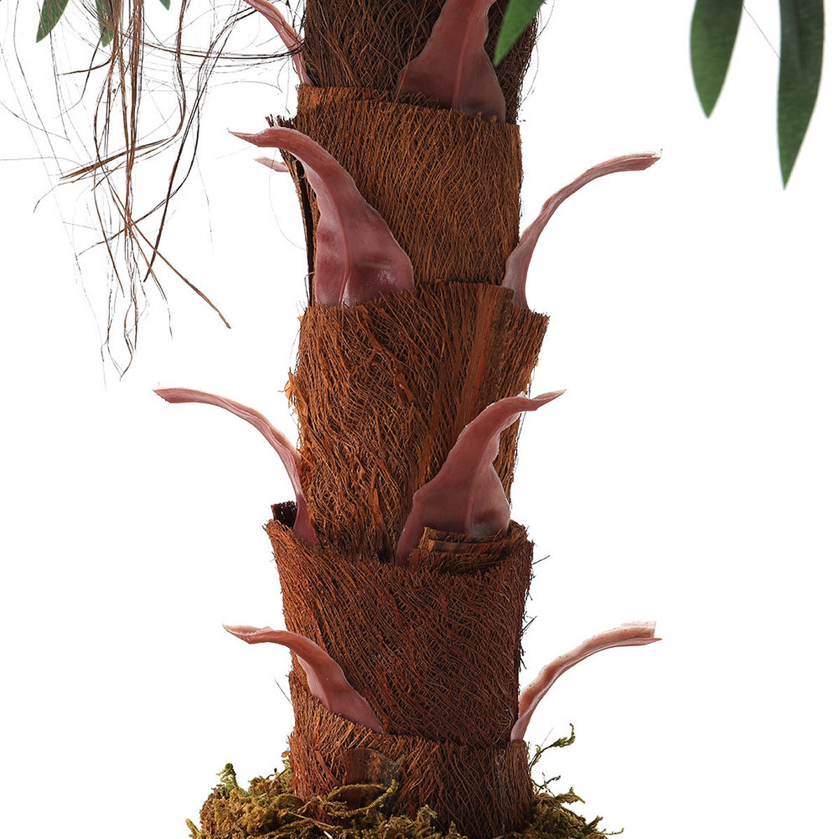 KUNSTPFLANZE 100 cm Hoch Palme mit Topf Kunststoff - Schwarz/Braun, Kunststoff (100cm) - Livingandhome