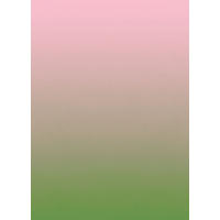 FOTOTAPETE Dip Dye-Motiv 2 x 2.79 m - Grün, Papier (200/279cm) - ESTAhome