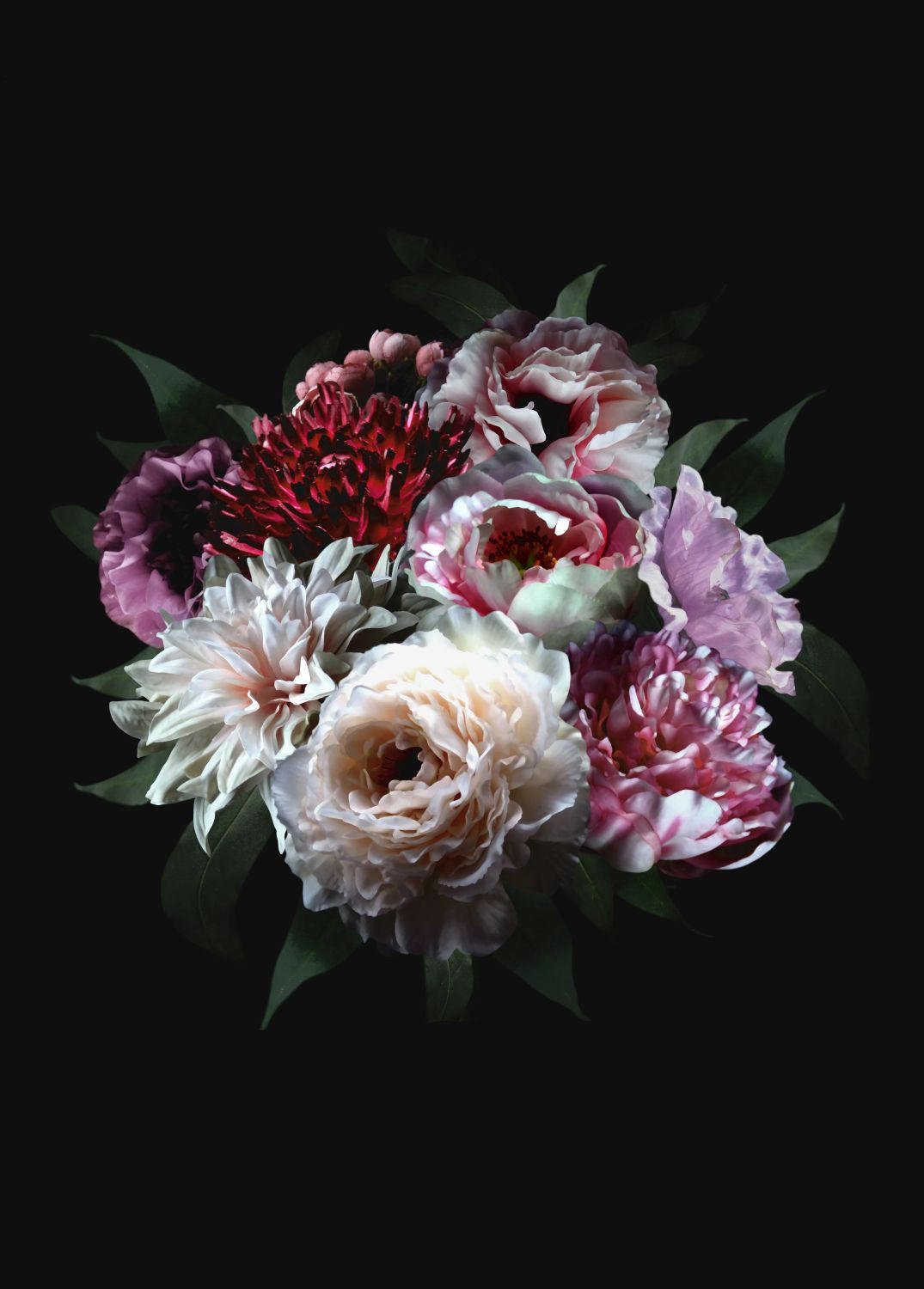 FOTOTAPETE Blumenstillleben 200 x 279 cm - Schwarz, Papier (200/279cm) - ESTAhome