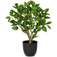 KUNSTPFLANZE Ficus 43 cm Grün - Grün, Kunststoff (43cm)