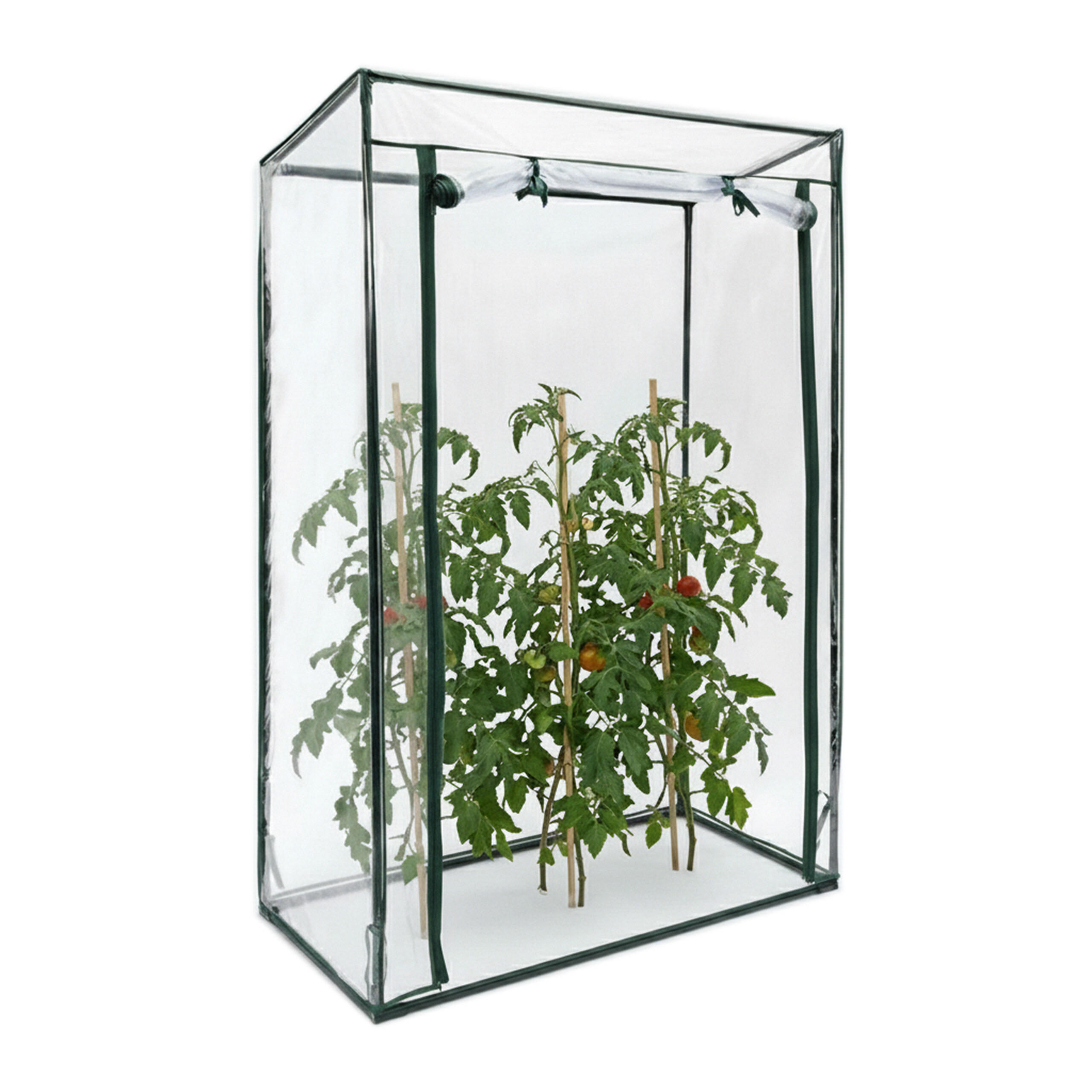 VÄXTHUS Transparent för tomater - Transparent, Plast/Metall (100/150/50cm) - Relaxdays